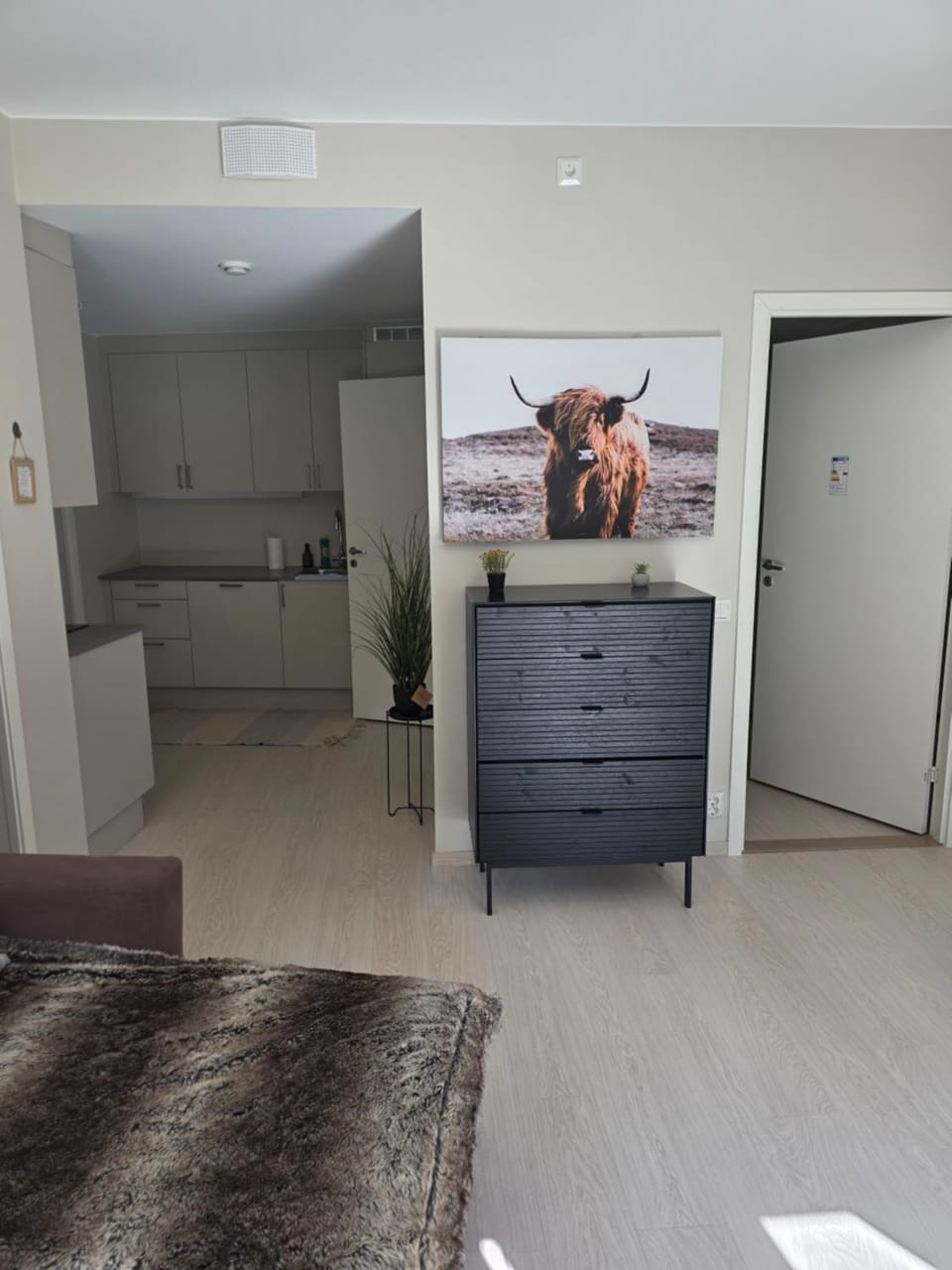 Two bedrooms Luxury apartment with free parking Apartment in Oslo