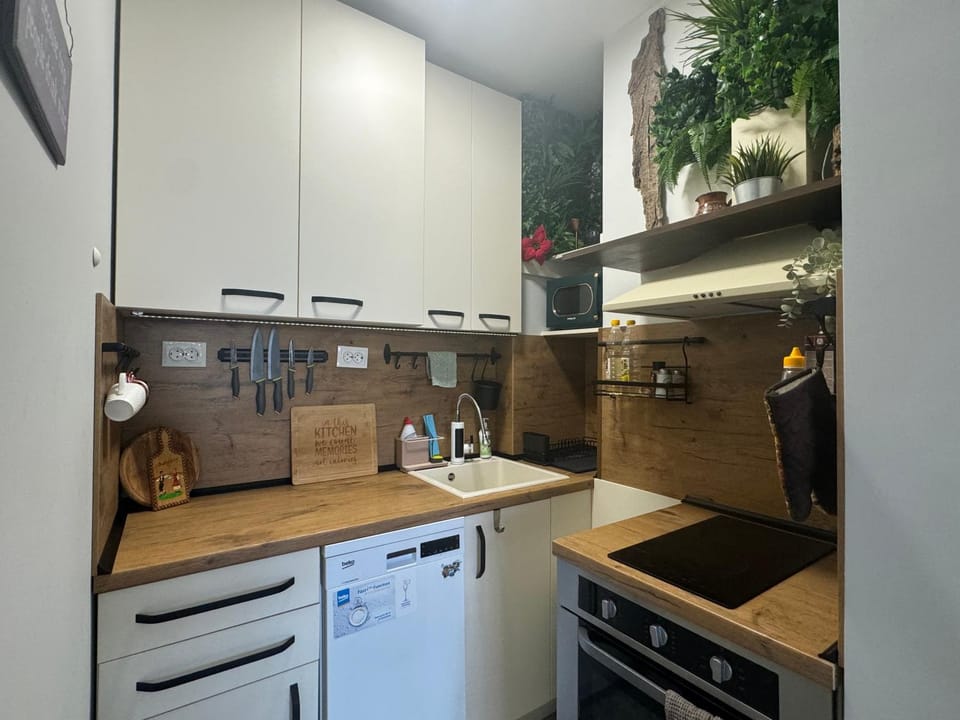 Kitchen or kitchenette, dishwasher, oven, toaster