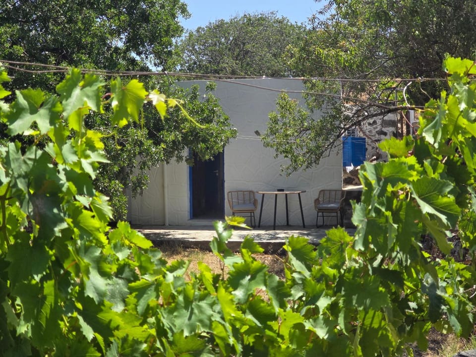 The Krani Apartment in Decentralized Administration of the Aegean