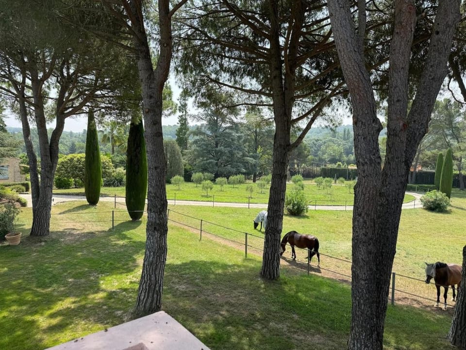 Garden view