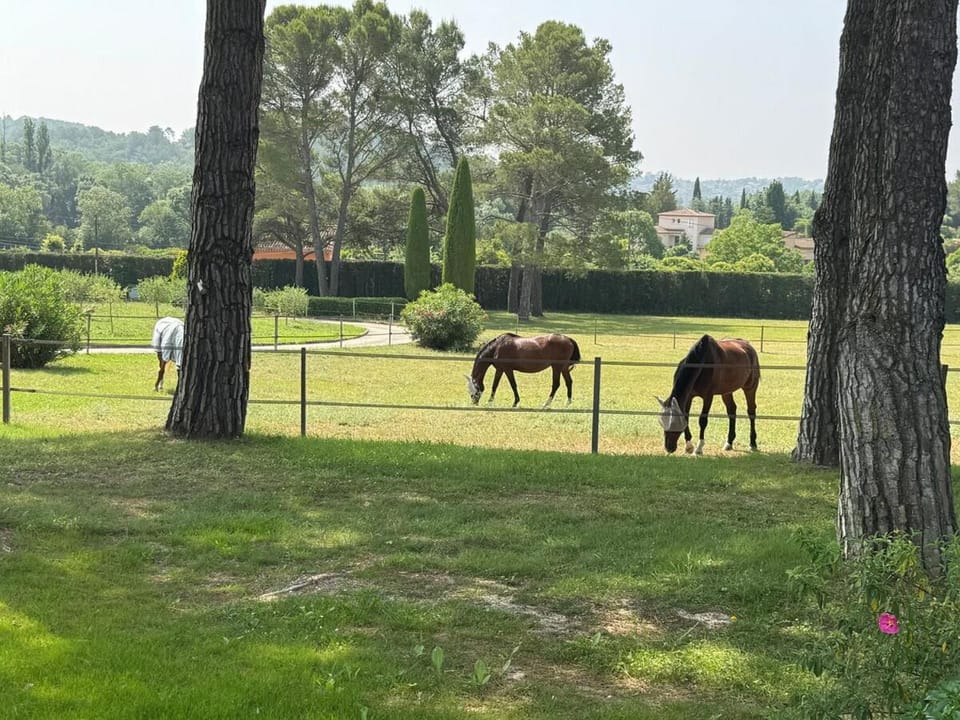 Le Mas Rose House in Grasse