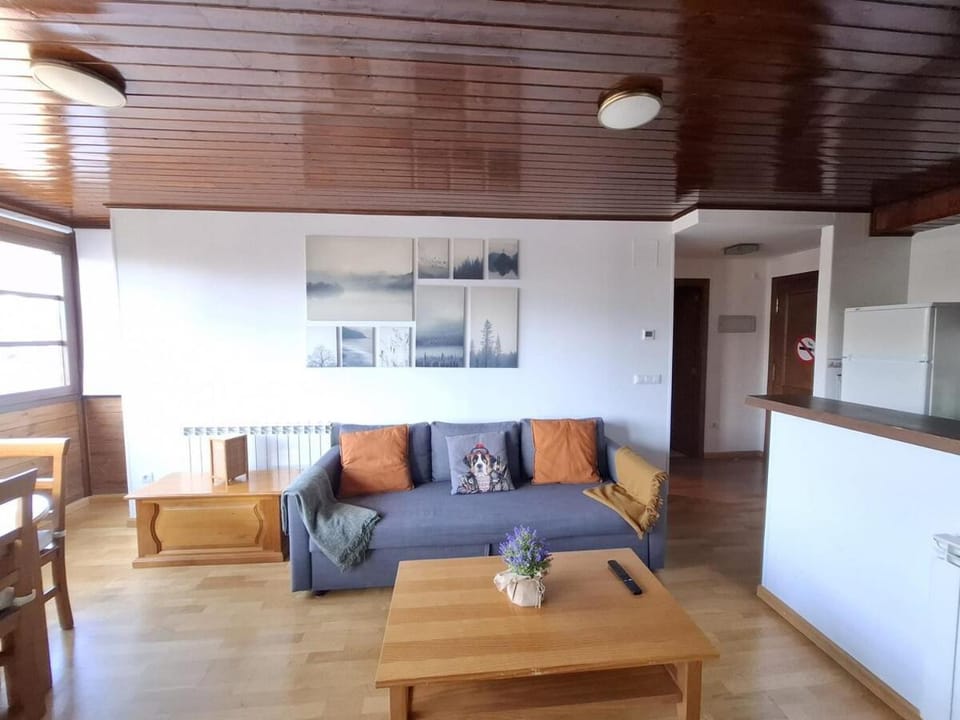 Stone, wifi, pet-friendly y garage - Arafita Apartamentos Apartment in Formigal