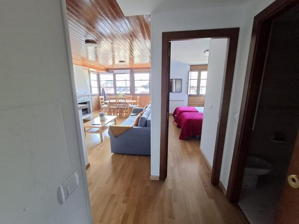 Stone, wifi, pet-friendly y garage - Arafita Apartamentos Apartment in Formigal