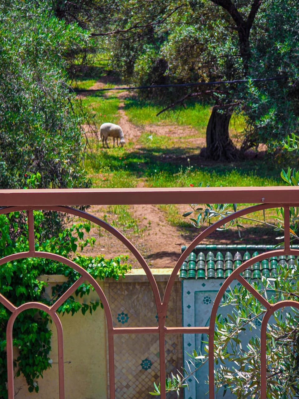 Spring, Day, Natural landscape, Garden, Animals, Garden view
