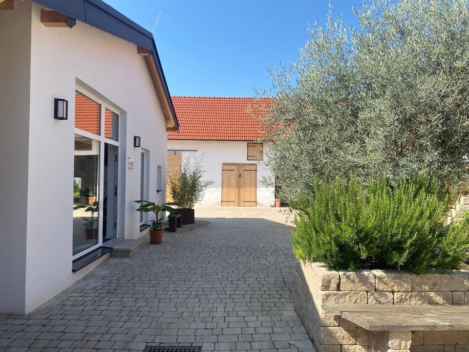 Garden view