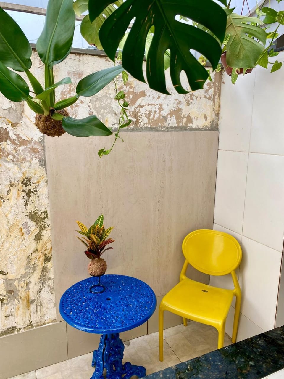 Studio-House with Tropical Garden House in Belo Horizonte
