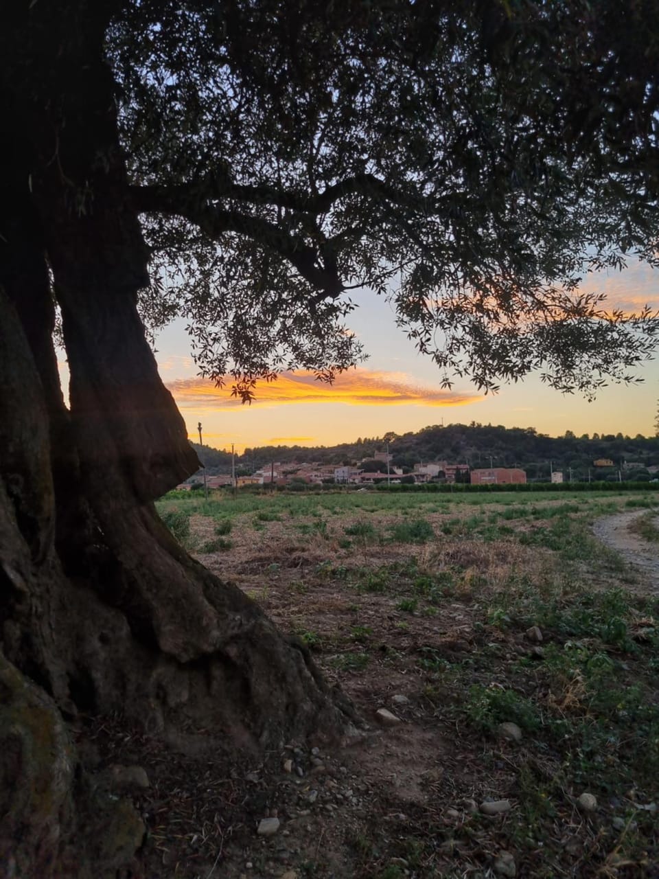 Natural landscape