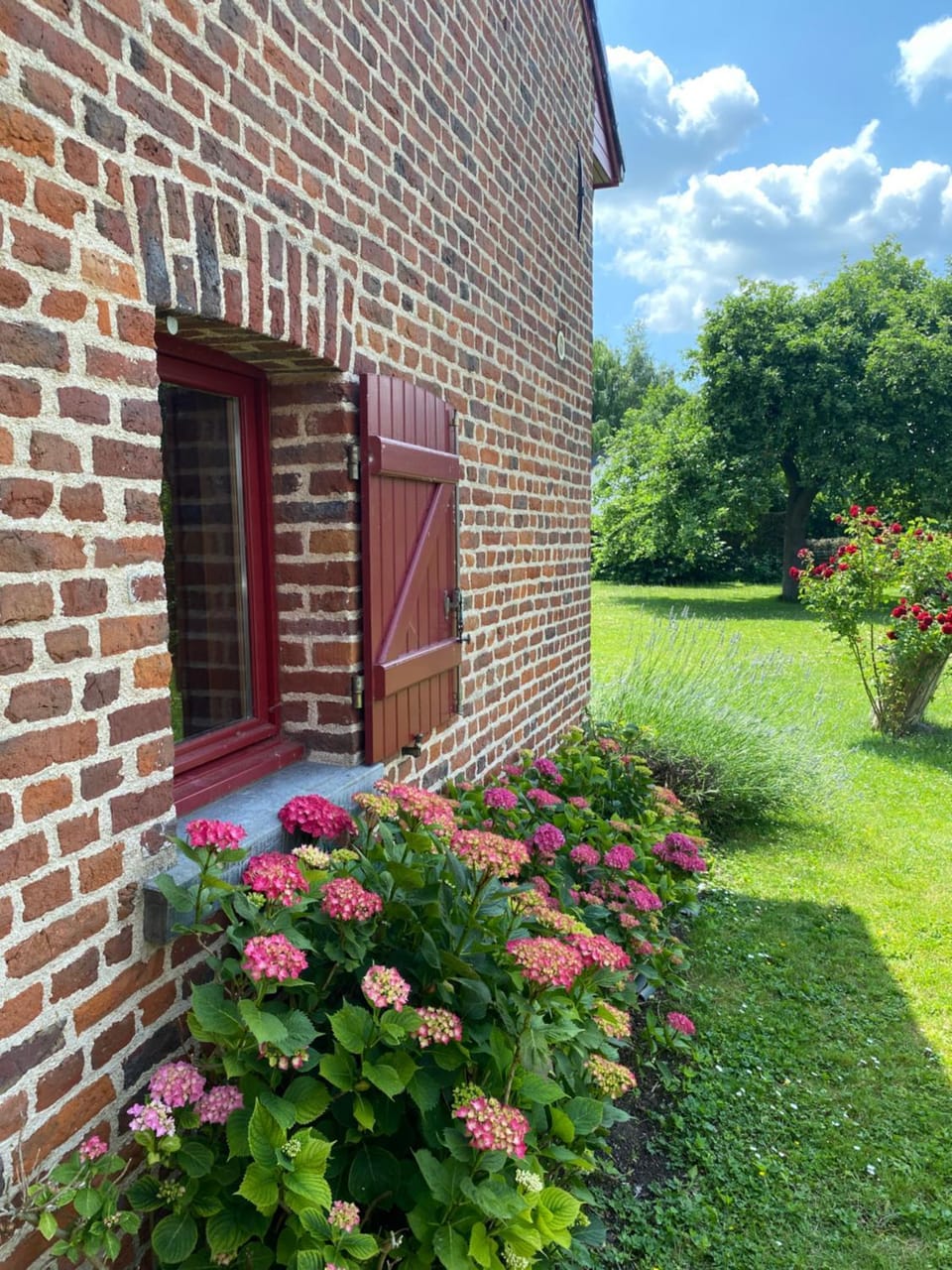 Day, Garden, Garden view