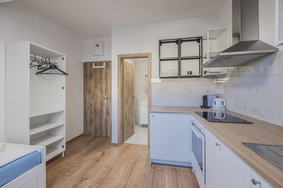 Flat Near Prague Castle Stylish & Prime Location 6 Apartment in Prague