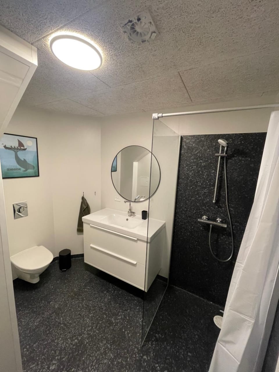 Shower, Bathroom