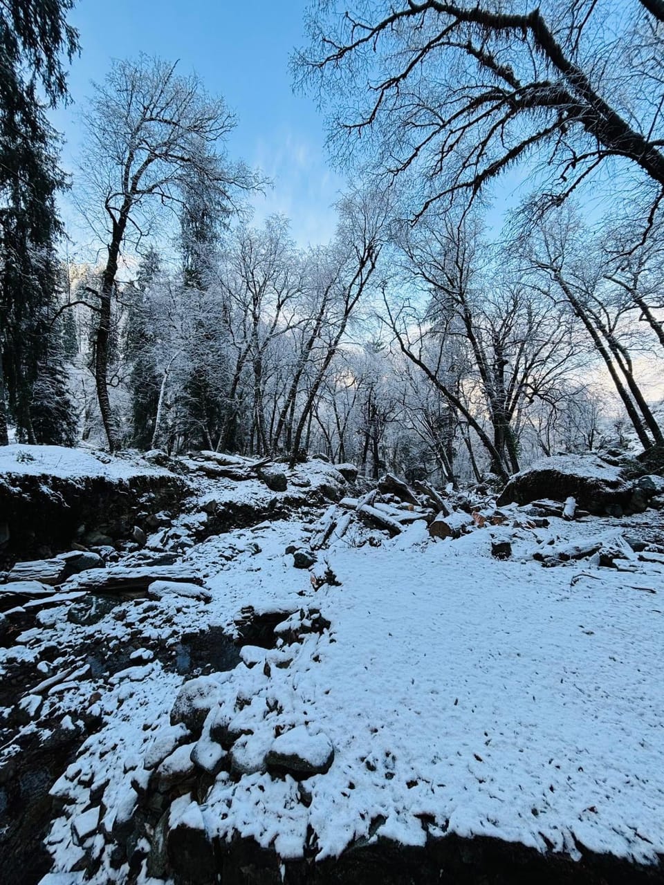 Winter