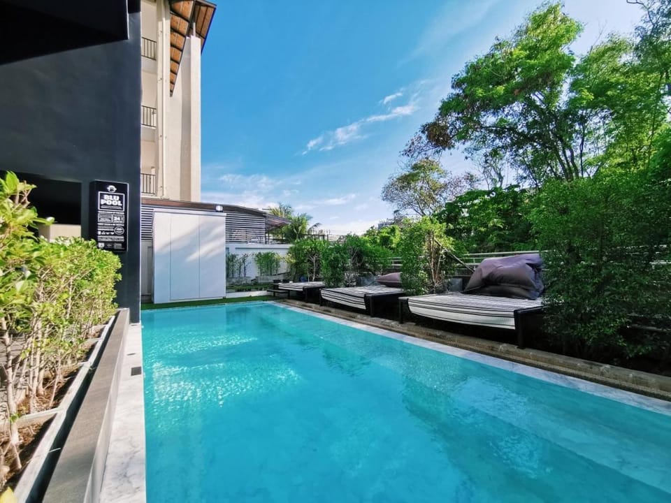 Swimming pool, Swimming pool