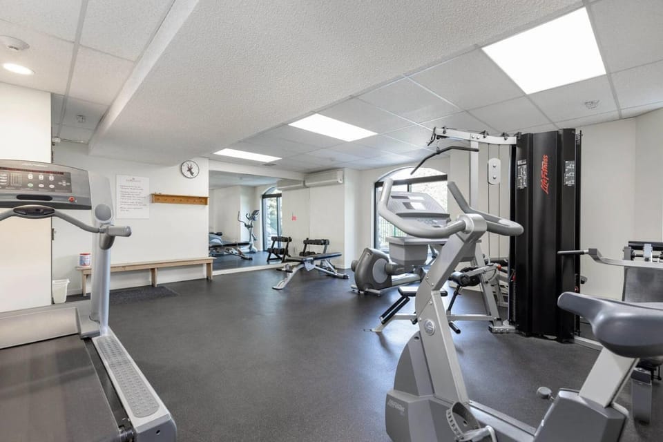 1BR and Sofabed in Marquise, Near Ski Hill, Fireplace, Hot Tub and Sauna, Gym Access House in Whistler