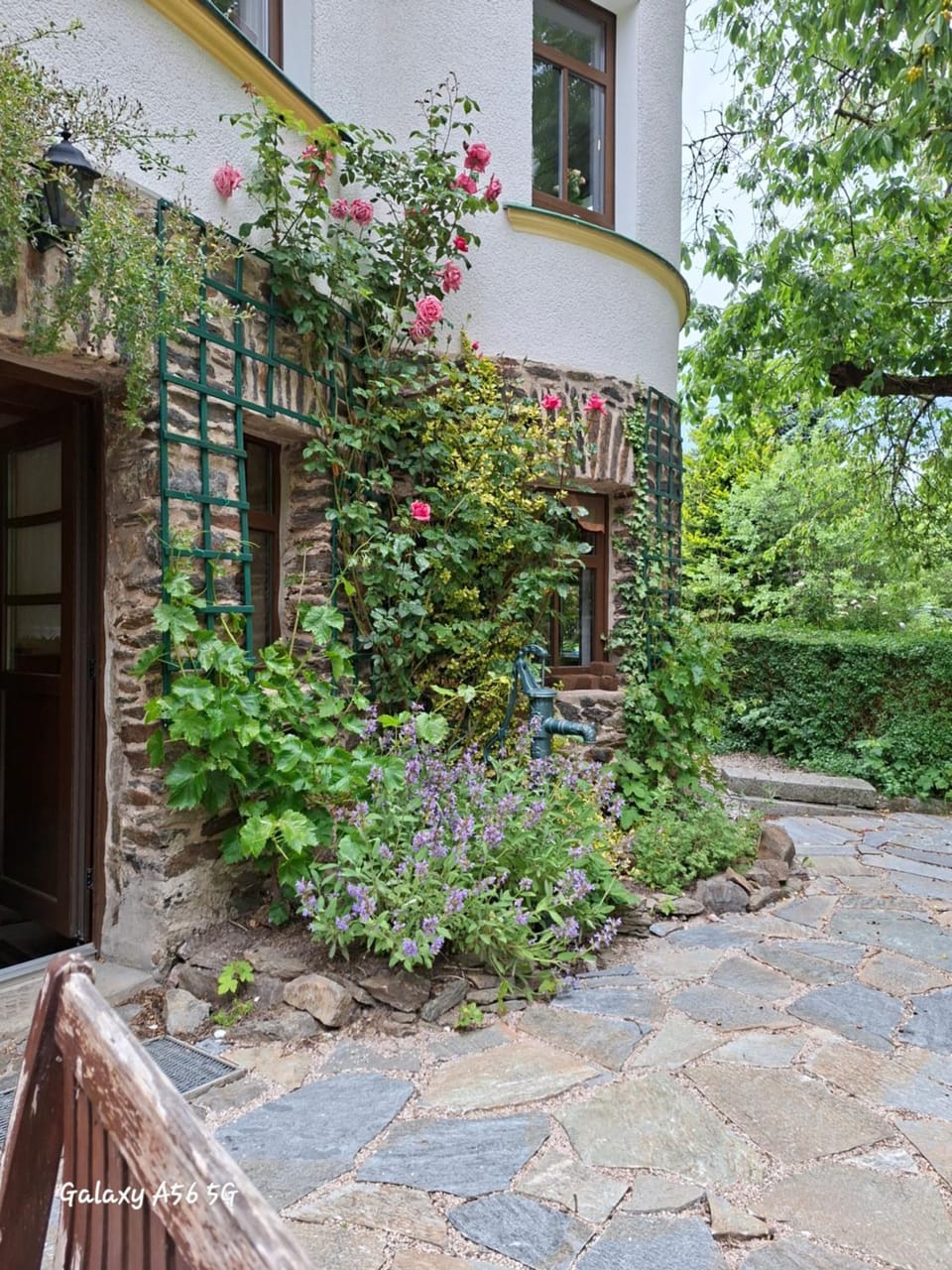 Property building, Garden, Garden view