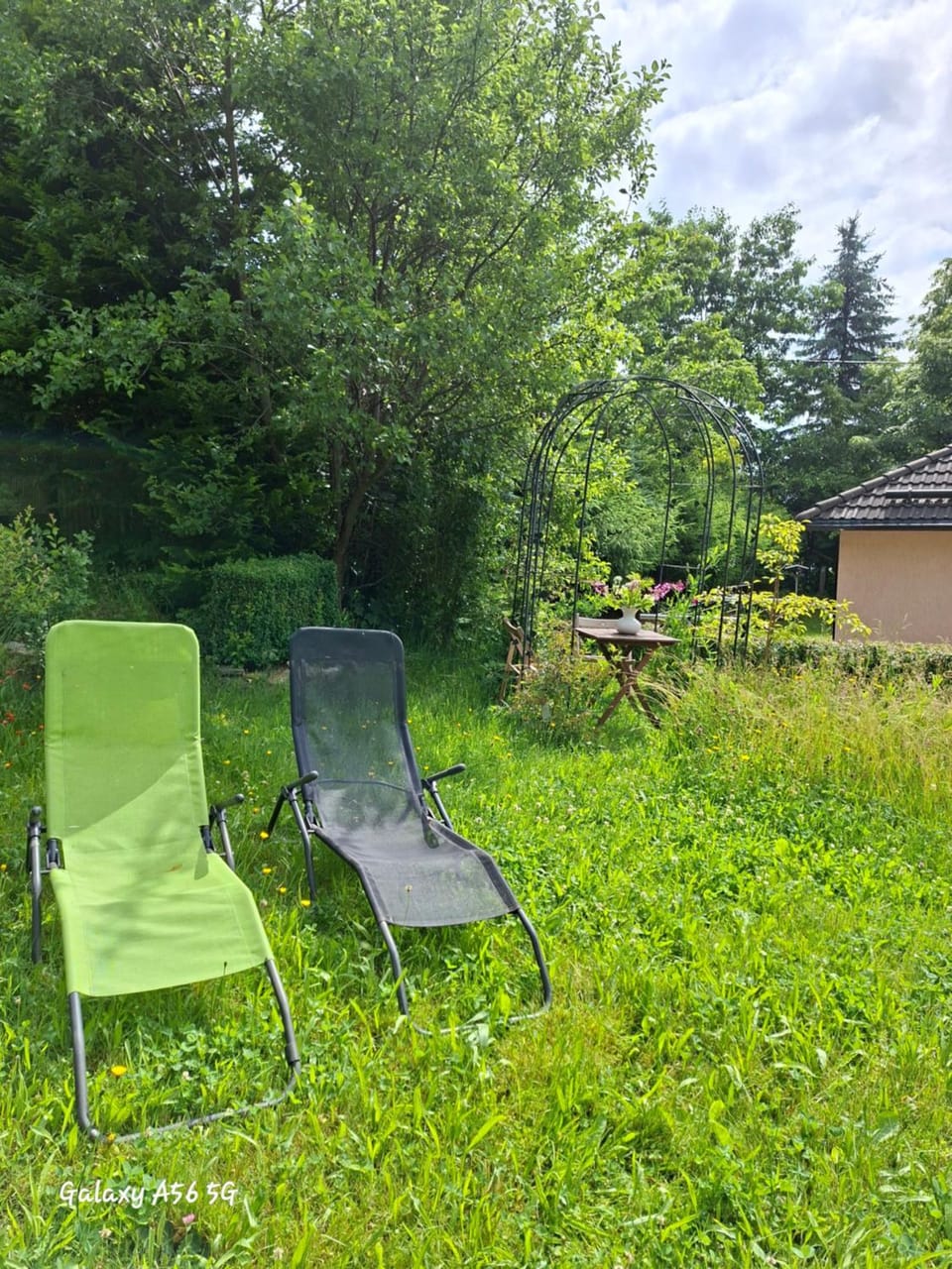 Natural landscape, Garden, Garden view, sunbed