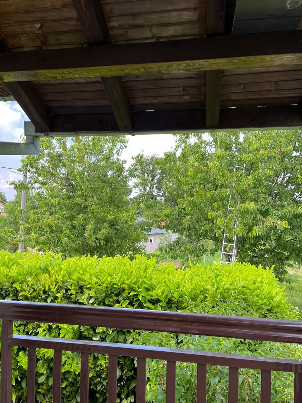 View (from property/room), Garden view
