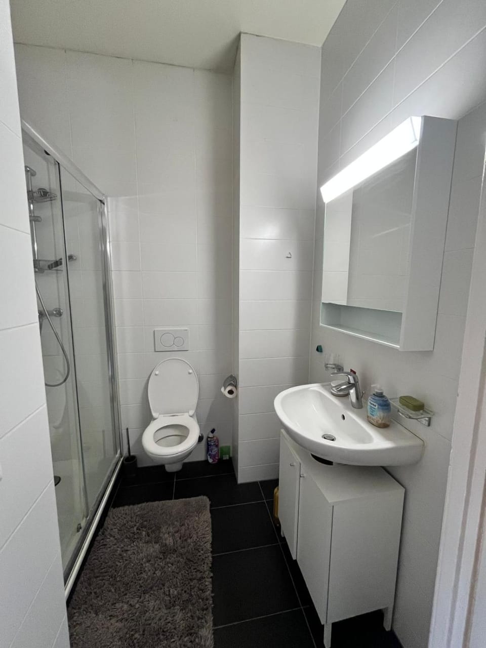Private Room Geneva Eaux-Vives, 2 min from the lake Vacation rental in Geneva