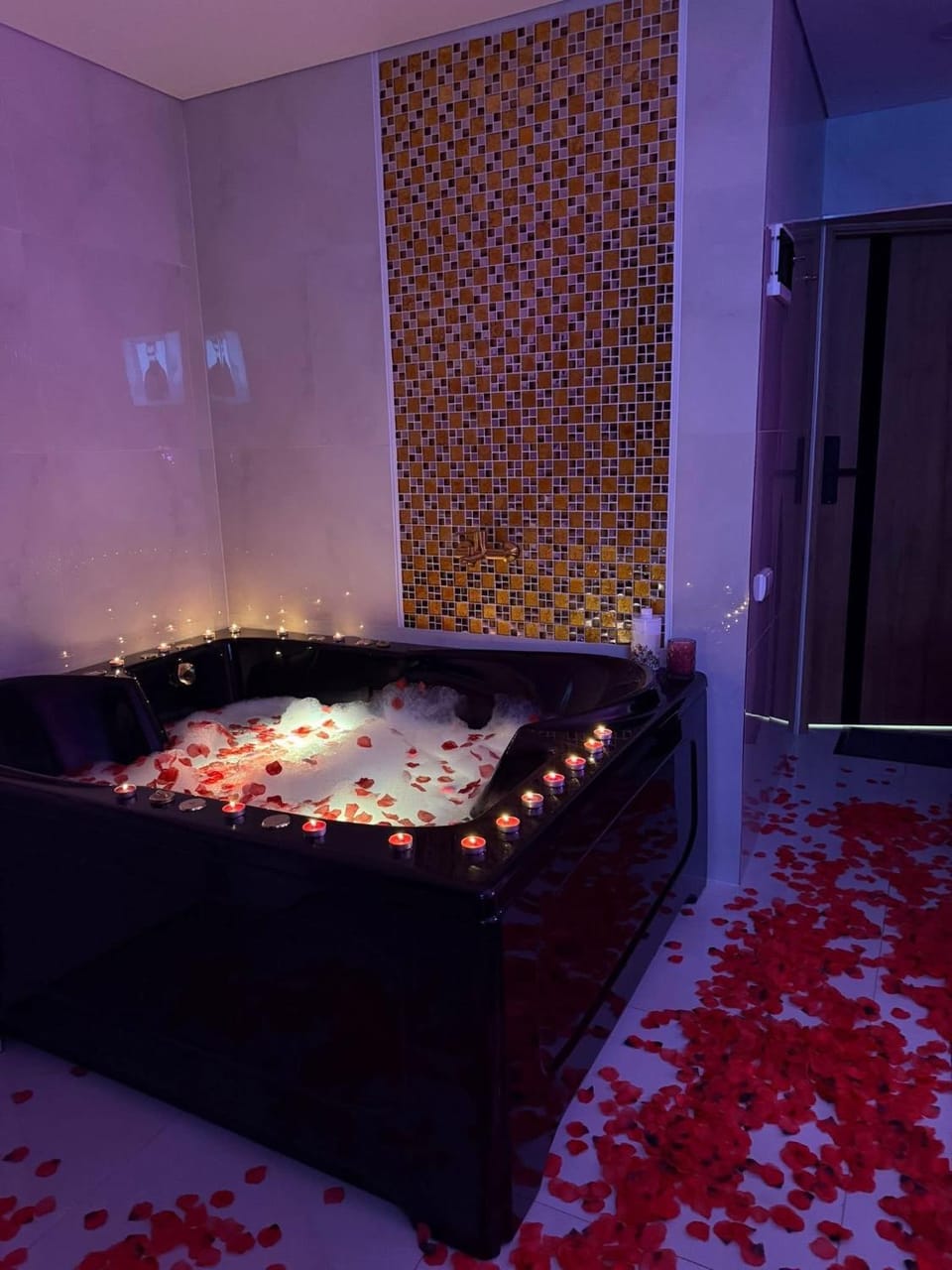 Jacuzzi studios 777 Apartment in Palanga