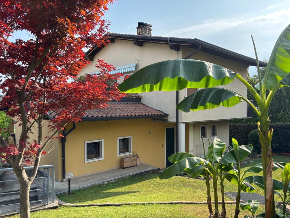 Property building, Spring, Garden, Garden view