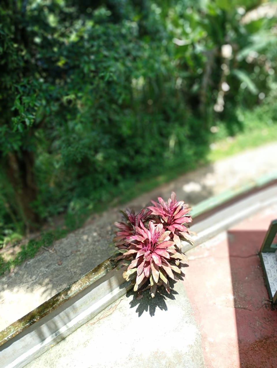 Pousada e Hostel Mirante da Vila Histórica Bed and Breakfast in Angra dos Reis