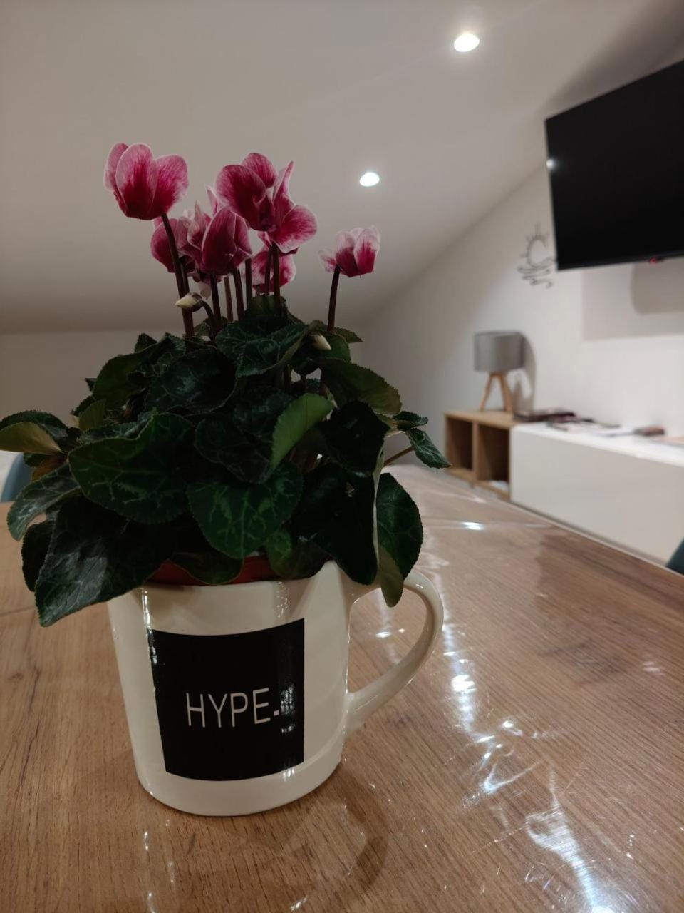 Terrazza Sole e Stelle Apartment in Matera