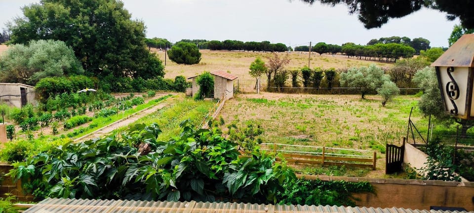 Natural landscape, Garden view