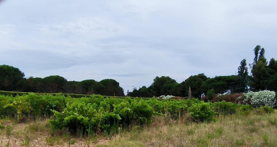 Day, Natural landscape