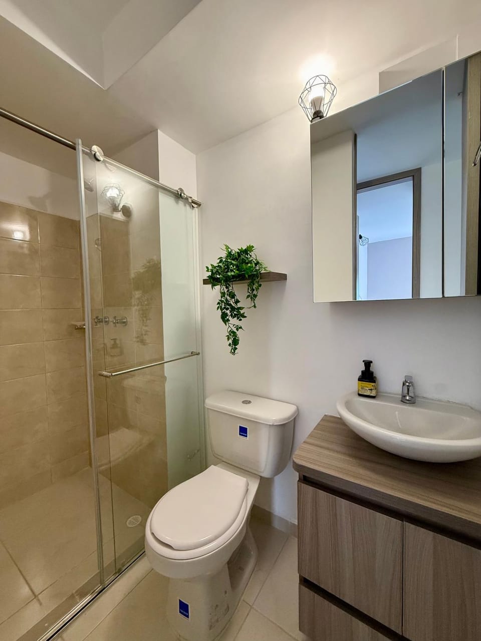 Shower, Toilet, Bathroom, Bath, towels