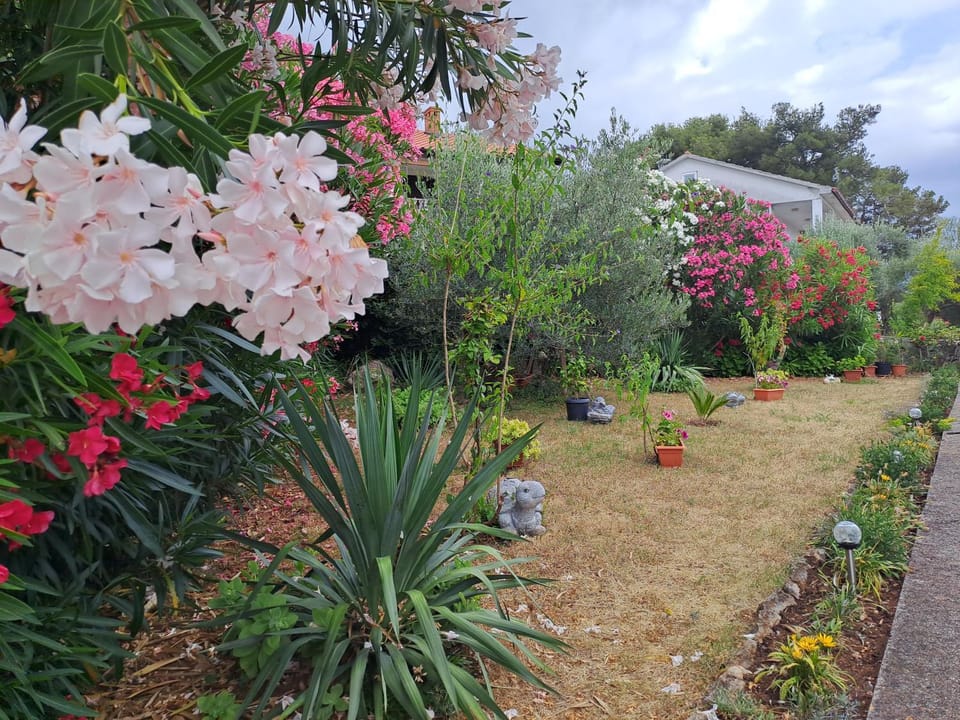 Spring, Garden, Garden view