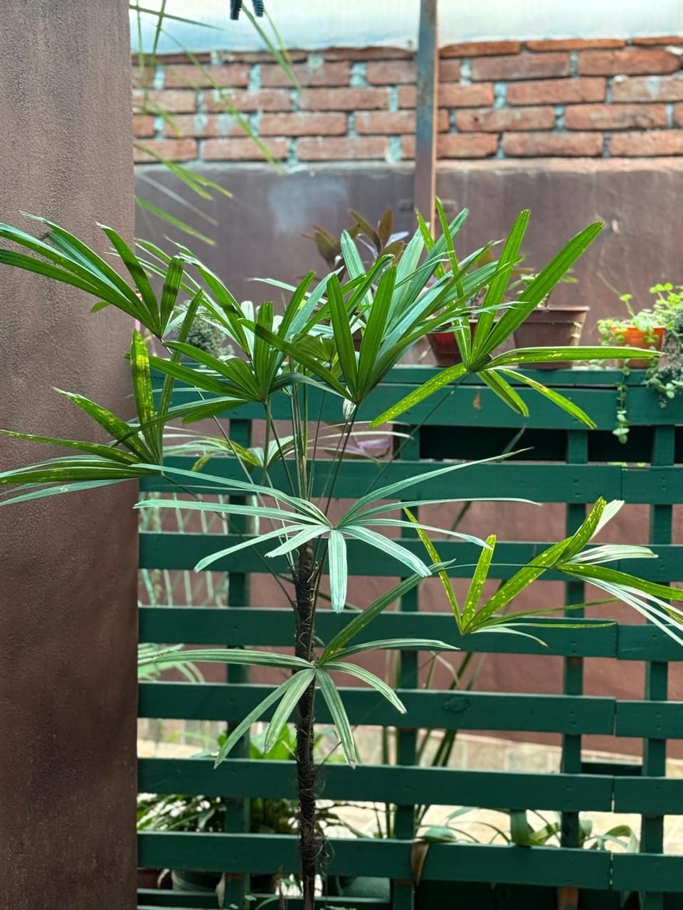 Day, Garden, Garden view