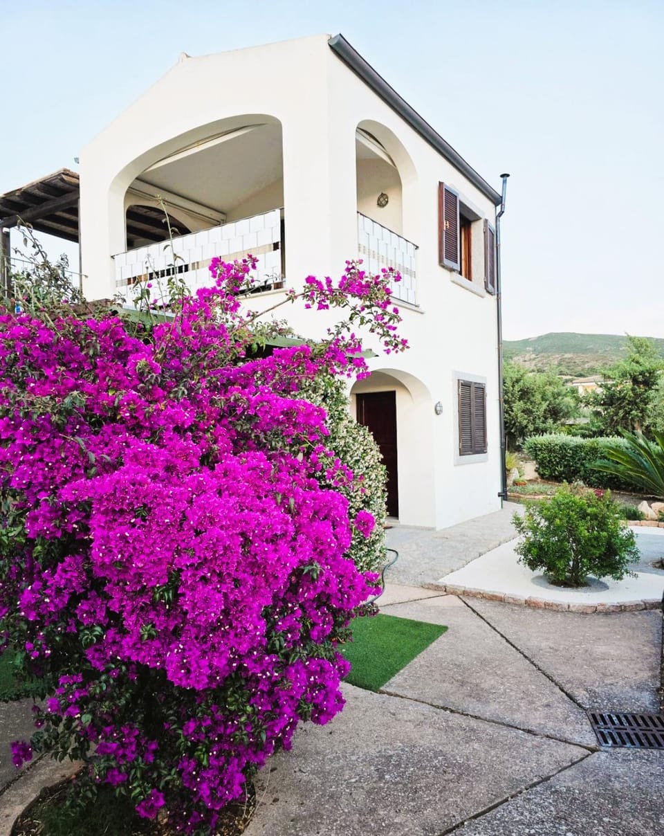 Property building, Spring, Day, Garden, Garden view