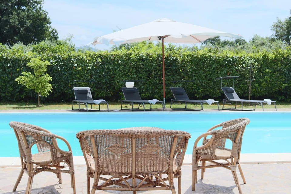 Garden, Garden view, Pool view