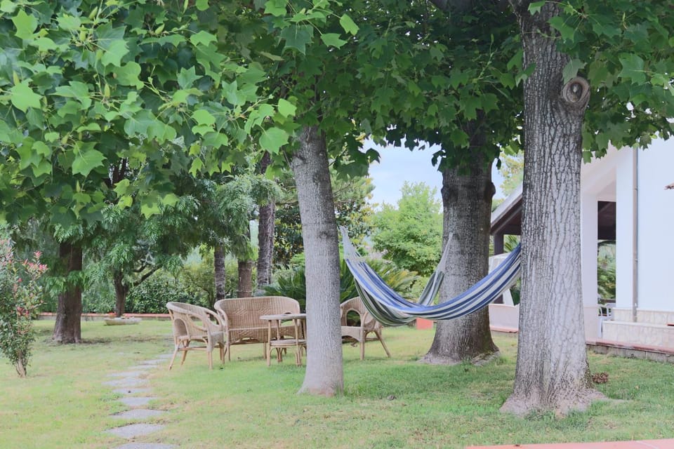 Day, Natural landscape, Garden