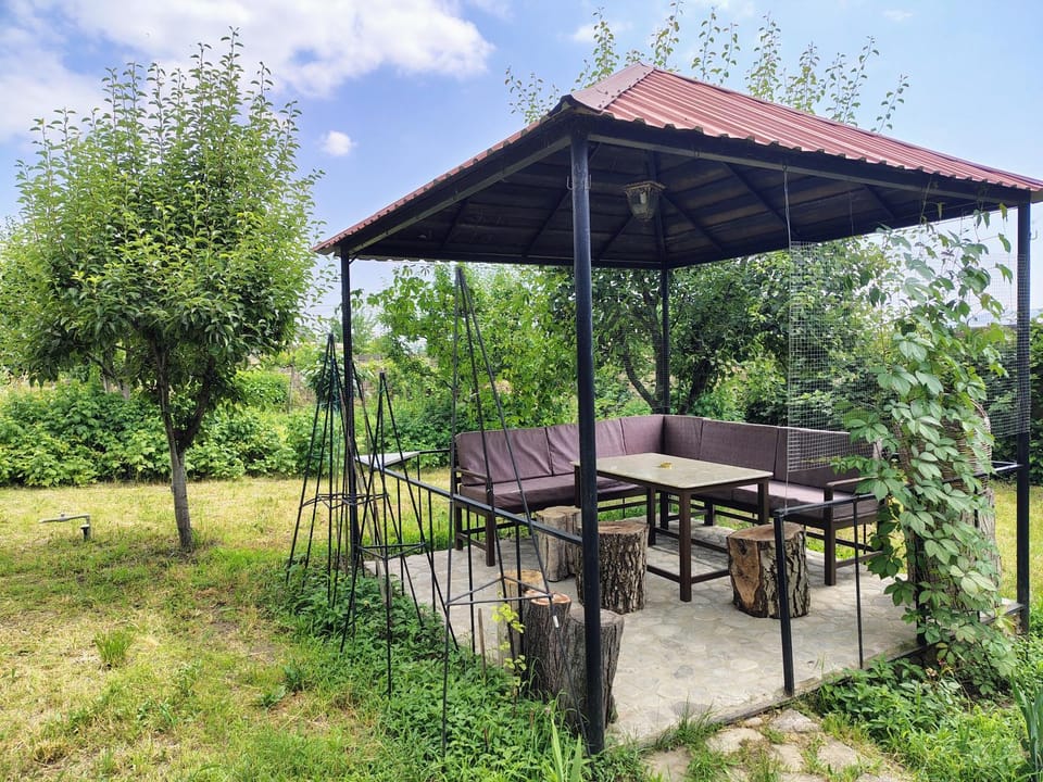 Day, Garden, Dining area, Garden view