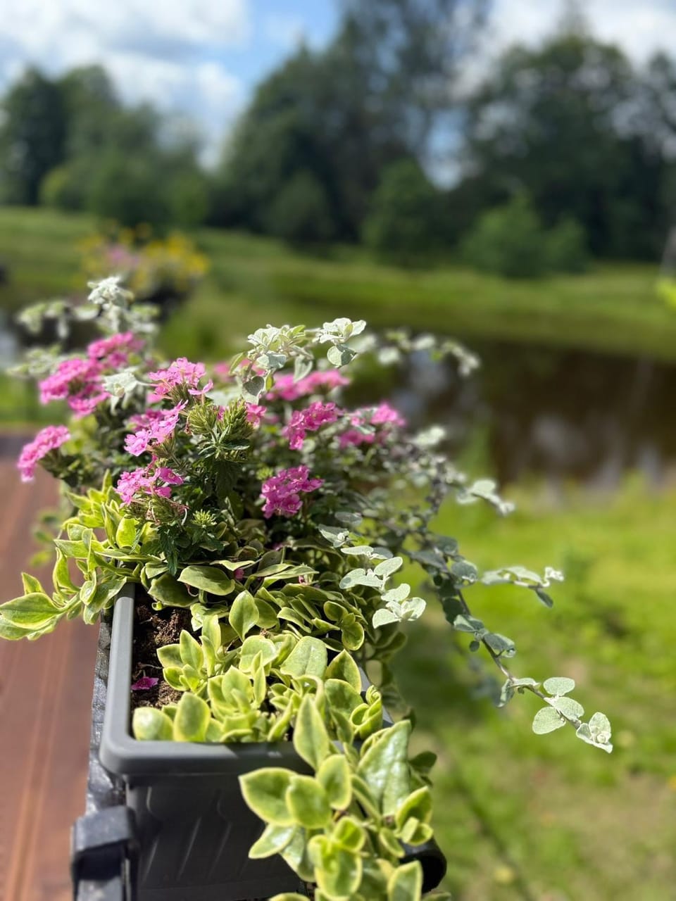Spring