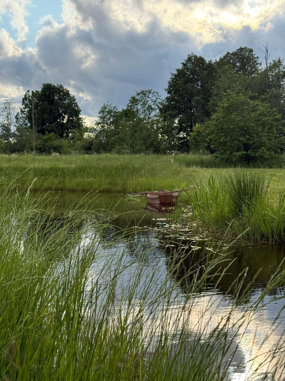 Lake view