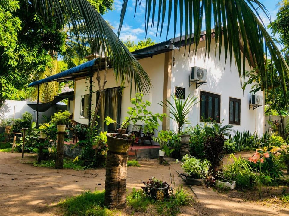 Trio Mango Stay Bed and Breakfast in Sri Lanka
