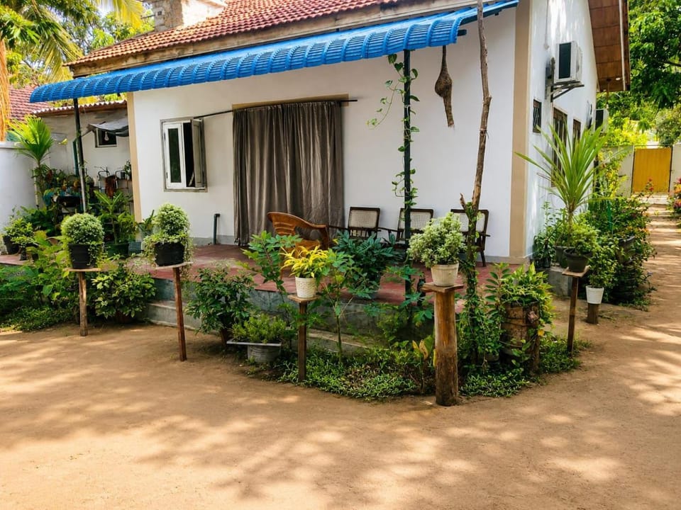Trio Mango Stay Bed and Breakfast in Sri Lanka