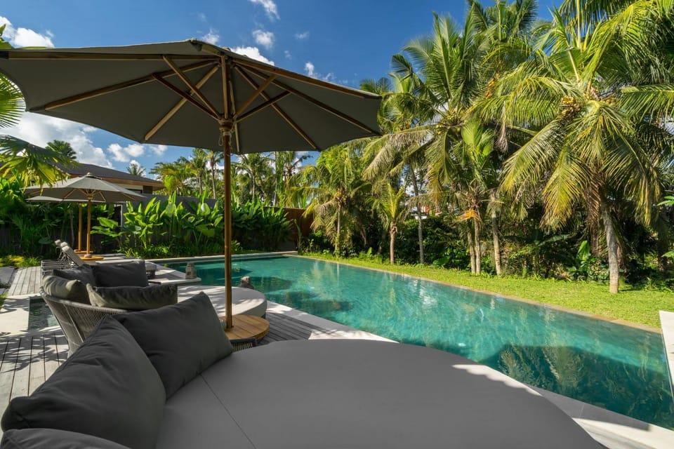 Natural landscape, Garden view, Pool view, Swimming pool, sunbed