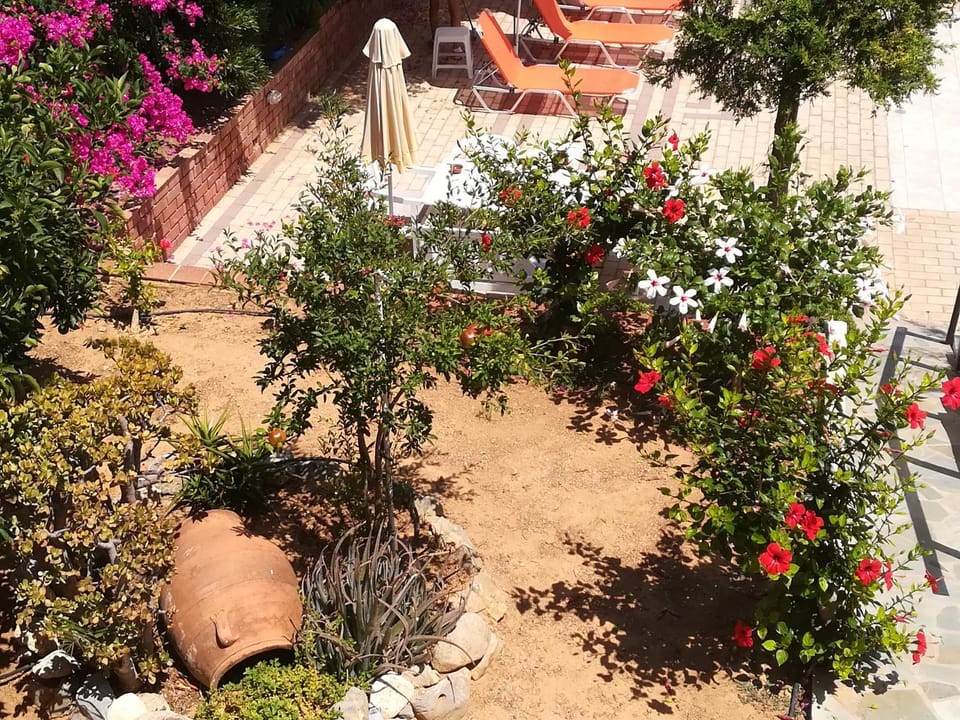 Garden, Garden view