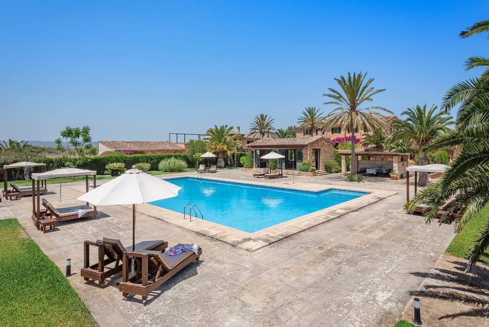 Garden, Pool view, Swimming pool