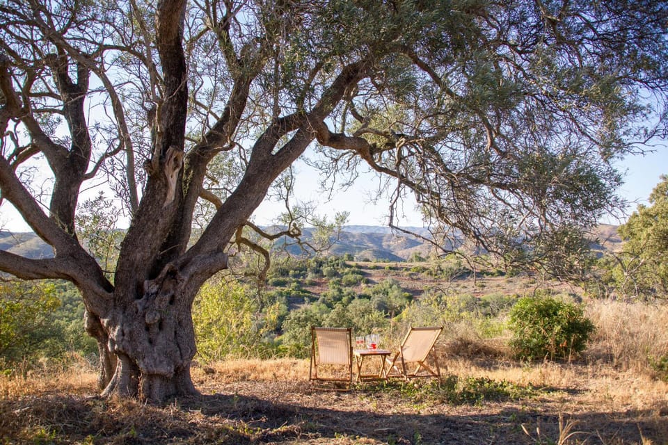 Day, Natural landscape
