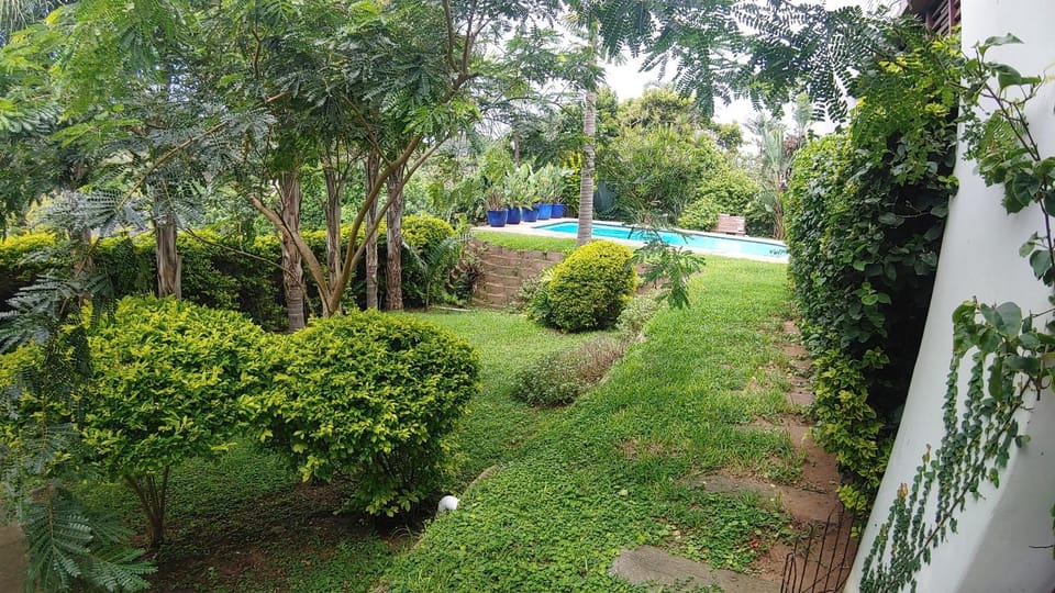 Natural landscape, Garden, Pool view, Swimming pool