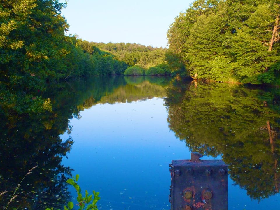 Natural landscape, Garden, Lake view, River view