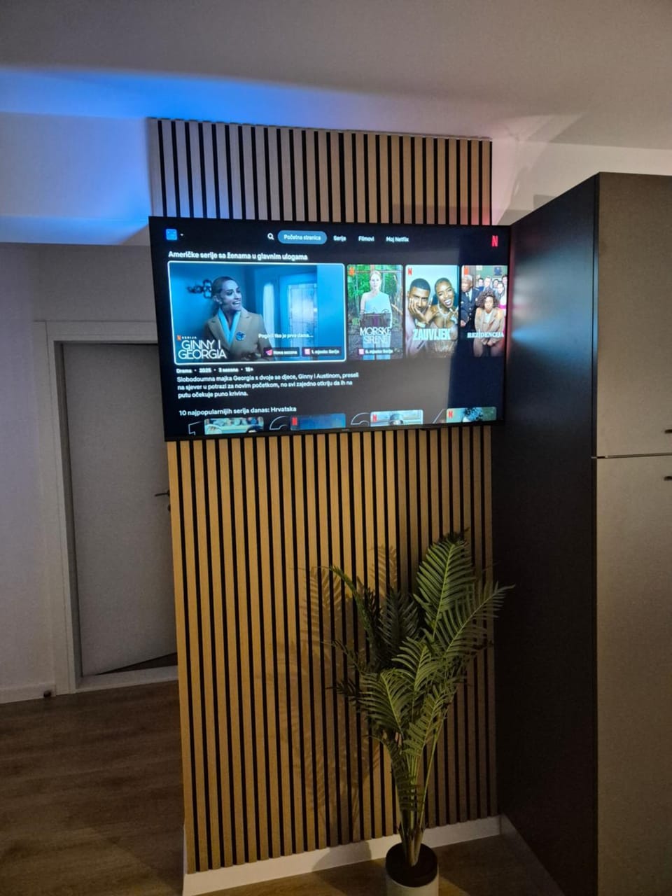TV and multimedia