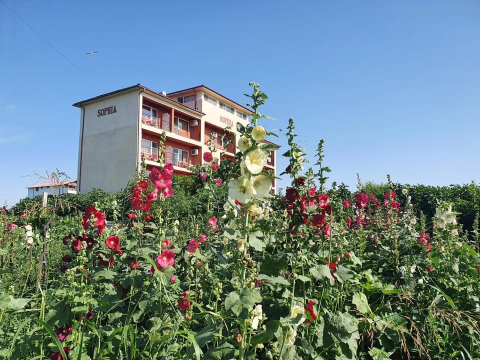 Vila Sophia Costinesti Bed and Breakfast in Constanța County