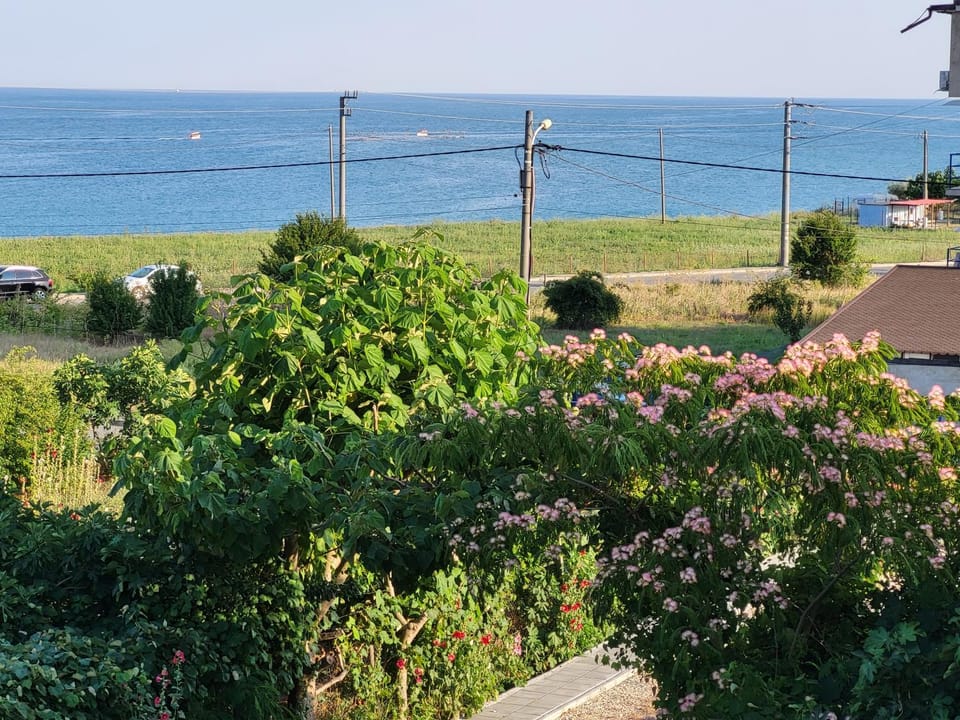 Natural landscape, Sea view