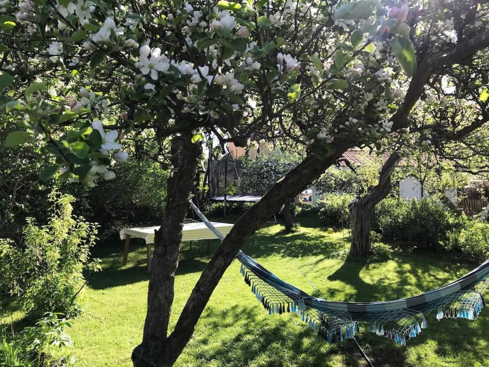 Private house from 1911 own garden 10 mins to city Villa in Huddinge