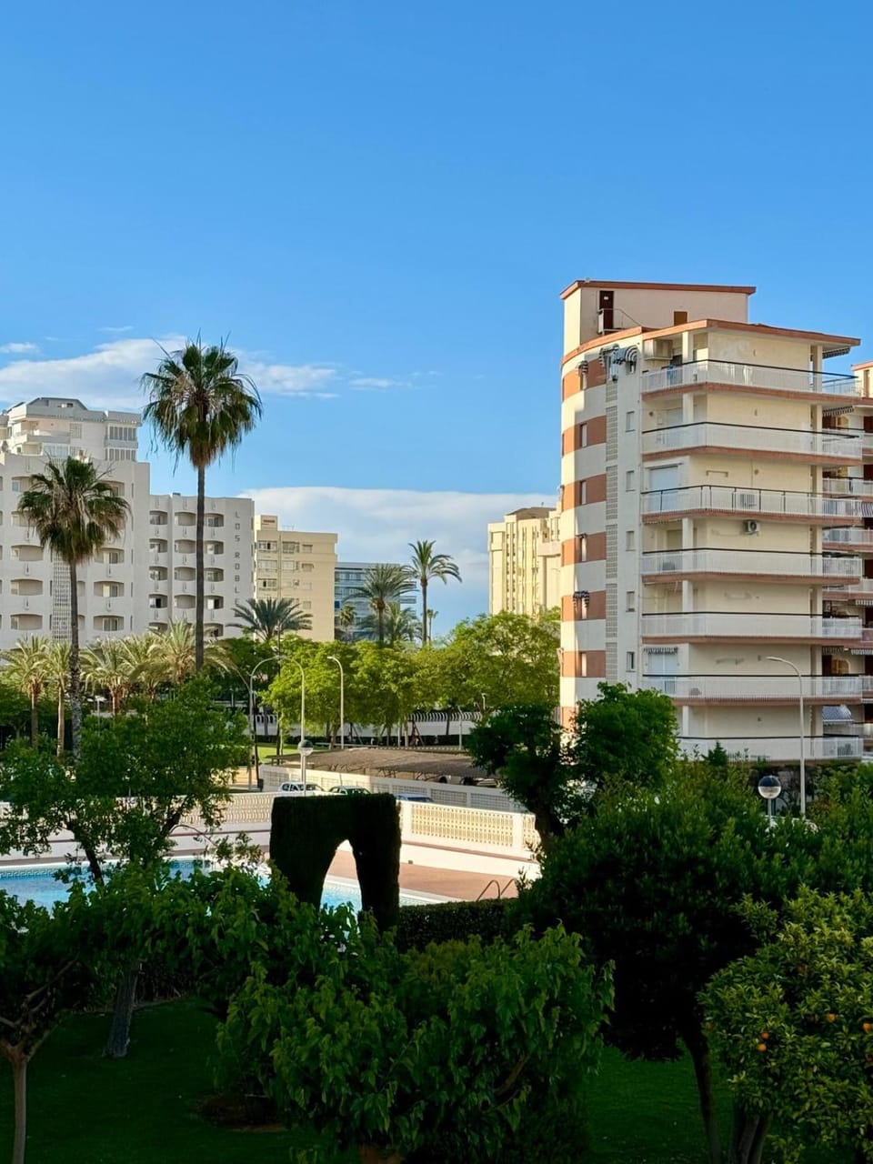 Garden view