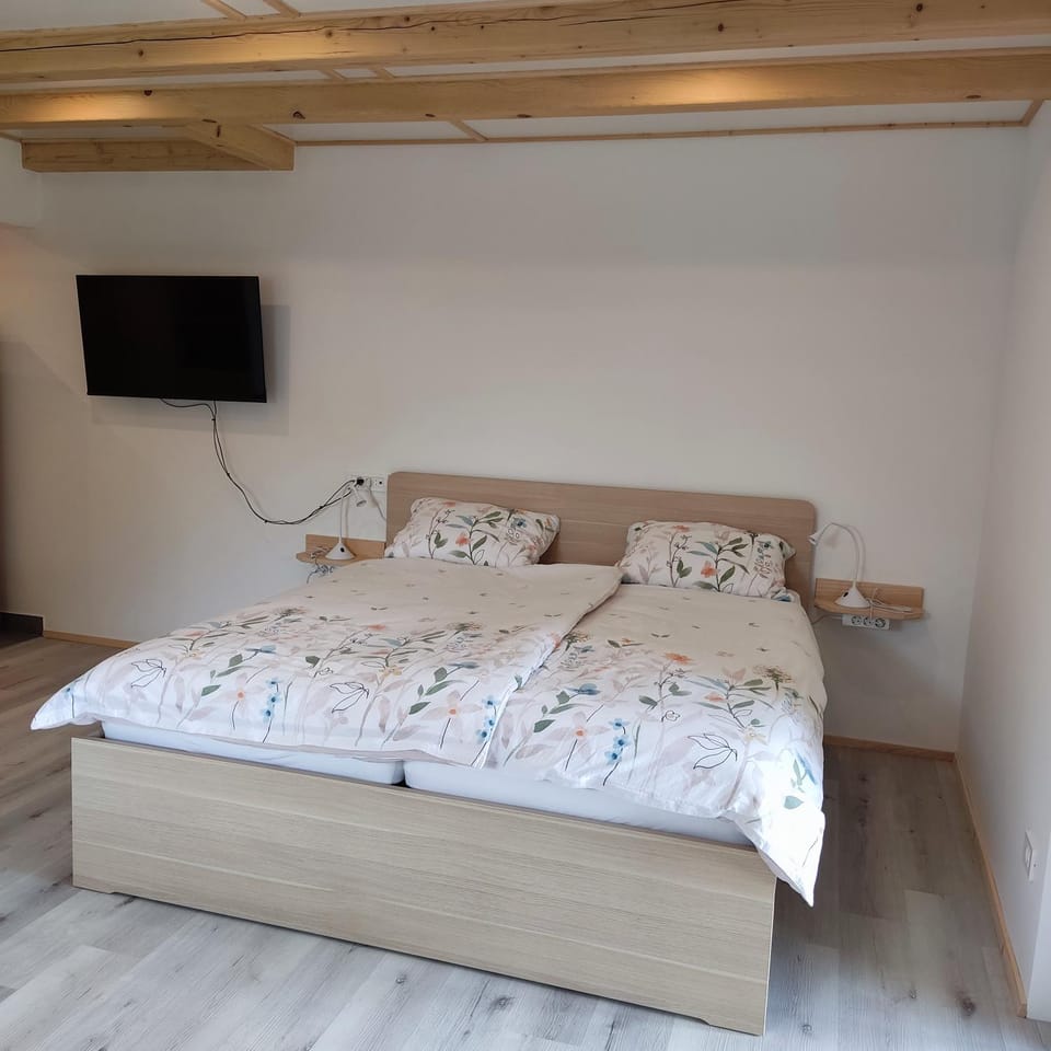 Bed, TV and multimedia, Photo of the whole room, Bedroom